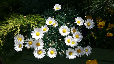 Schule der Spiritualität